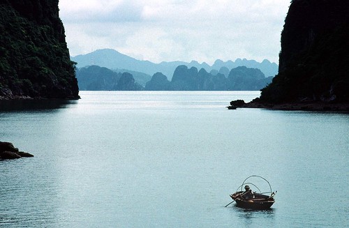خليج هالونج في فيتنام: لوحة بديعة استغرقت 500 مليون سنة! 257222192_7eaa6ad241