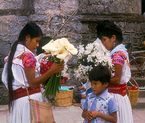 Éxodo español a Latinoamérica por la crisis 315029958_e56ea3016e