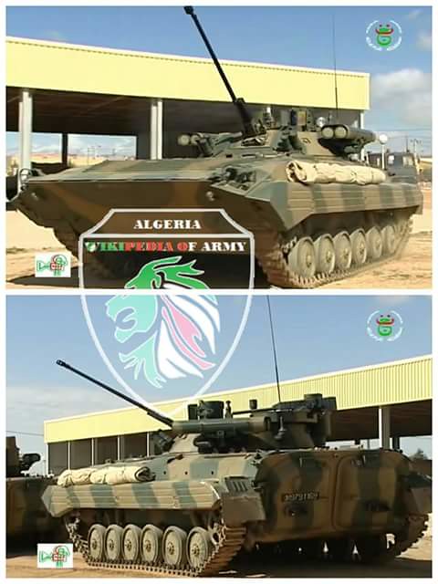 مدرعات القوات البرية الجزائرية [ BMP-2M Berezhok ]  - صفحة 2 32034033774_73ce1ef236_b