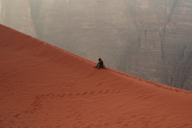 Desiertos increibles 169470327_2c537cd78f_z