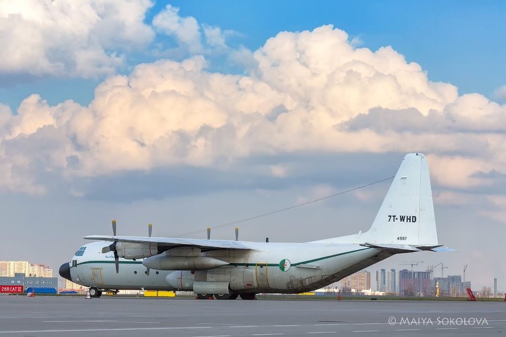صور طائرات النقل والشحن الجزائرية [ C-130H/H30  /  Hercules ]  - صفحة 22 28577639458_2b51acccc1_b