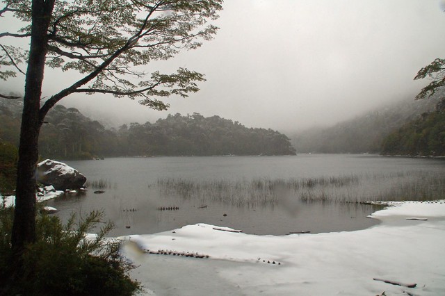 Región de la Araucania [Chile] 1422527447_7b03565f6a_z