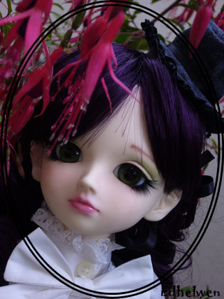 dainty - Dainty Absinth joufflue! (Volks SD Aya) 574014960_c9786d01da_o