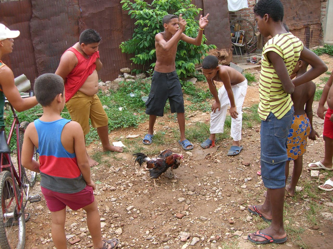 Habana - Cuba: fotos del acontecer diario - Página 4 763843953_5f180cf6b0_o