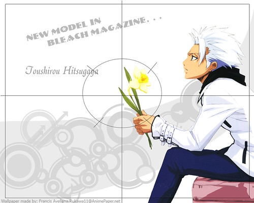 أجمل الصور ل Hitsugaya Toushiro 1452866001_c9664930be