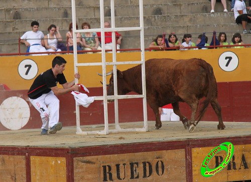 Alagon (Zaragoza) 11-6-2010 desafio de ganaderia entre Jose Luis Cuartero (Pradilla de Ebro, Zaragoza) y Jose Arriazu e Hijos (Ablitas, Navarra) 4708609327_d3f7895540