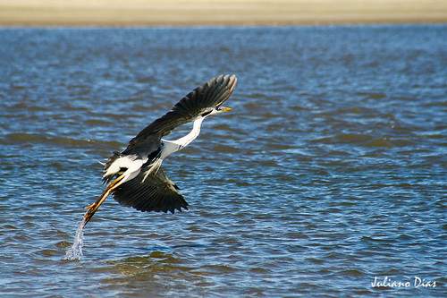 Parque Nacional da Lagoa do Peixe