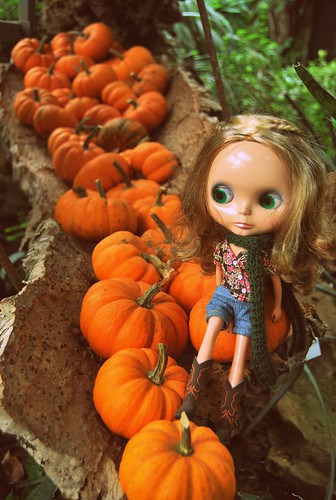 So many pumpkins!!!