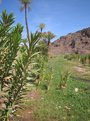 Le Maroc comme vous ne l'avez jamais vécu 1462676452_3983eeacd7