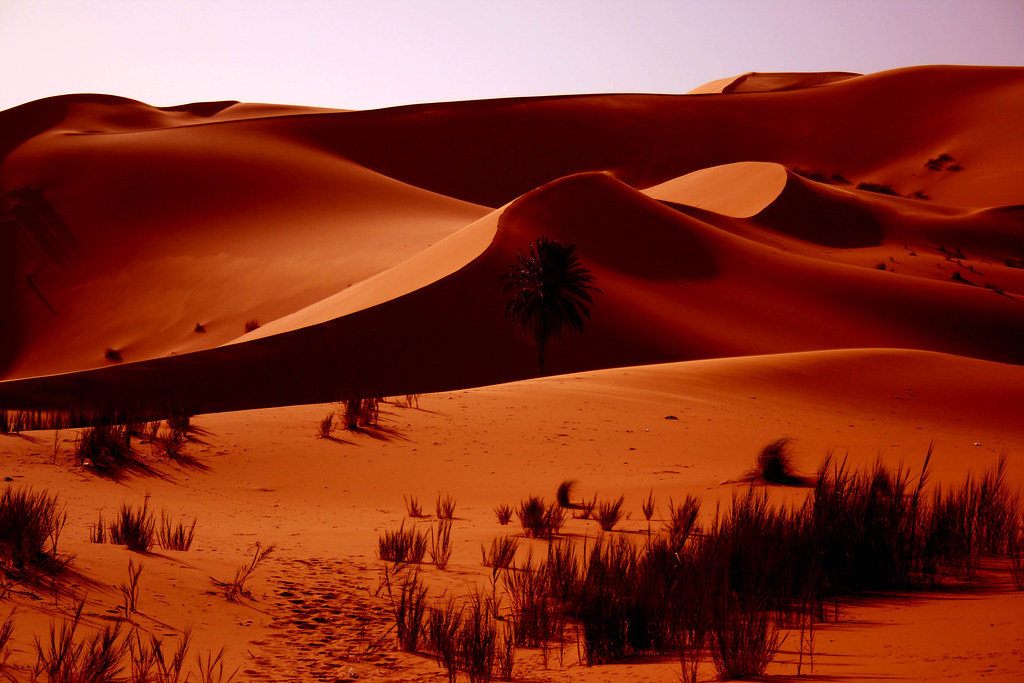 السياحة الصحراوية بالمغرب 1266256470_7322137907_b