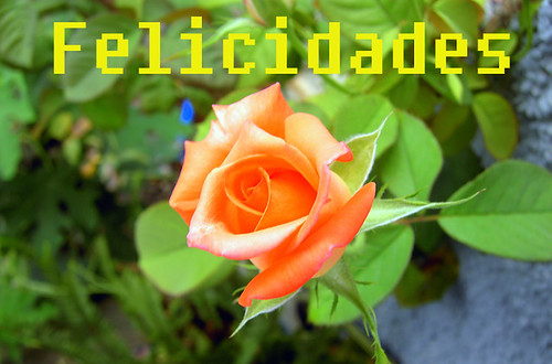 Felicidades,... 1214336037_a5c5481e49