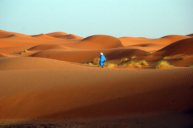 Desiertos increibles 556137681_ea20c99da0_z