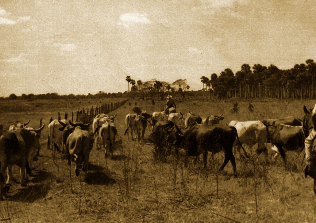 FOTOS DE CUBA ! SOLAMENTES DE ANTES DEL 1958 !!!! - Página 20 2116683757_9afebda5bc_o