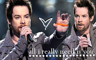 AI7 WINNER is.... DAVID COOK!! - Page 2 2514636211_b038f6022a