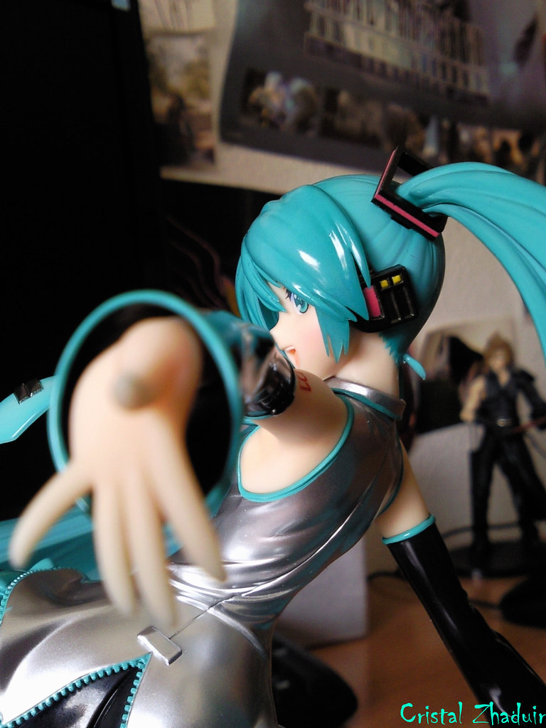 [Review] Miku Hatsune Tony Taka ver. (Max Factory) 5792139998_f2ac058906_b