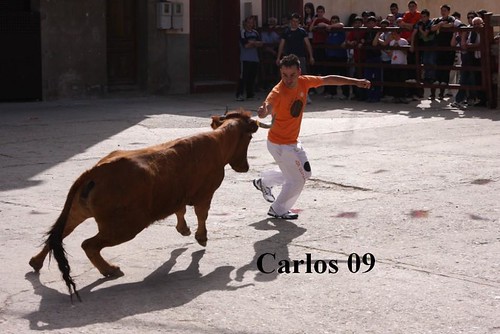 CABRETON (LA RIOJA) 16-5-09 GANADERIA SANTOS ZAPATERIA "CHUSMA" 3546076230_28a8049206