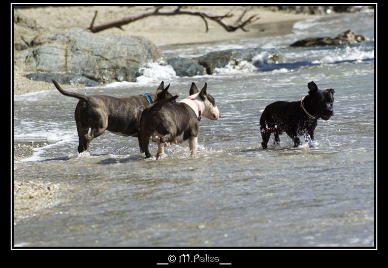 Charon, So Addictive Nina & Ugo @ The Beach 2409870587_99afcf5c5a_o