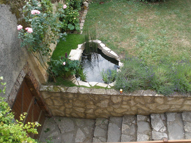 mon p'tit bassin dans mon p'tit jardin - Page 2 5821714111_5a26123d60_z