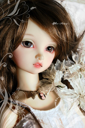 Dollfies. 2537851365_52f7d8a549