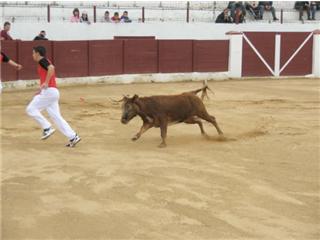 Concurso de Andorra 2421107048_94a381d67e_o