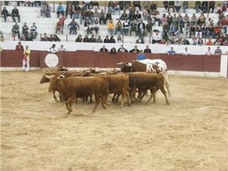 Concurso de Andorra 2421108838_bbc8a4f875_o