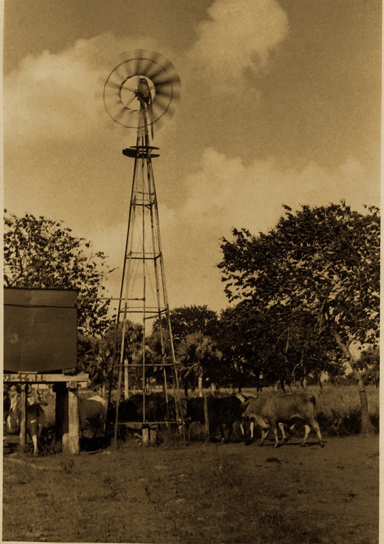 fotos - FOTOS DE CUBA ! SOLAMENTES DE ANTES DEL 1958 !!!! - Página 20 2117467870_9a003c92a2_o