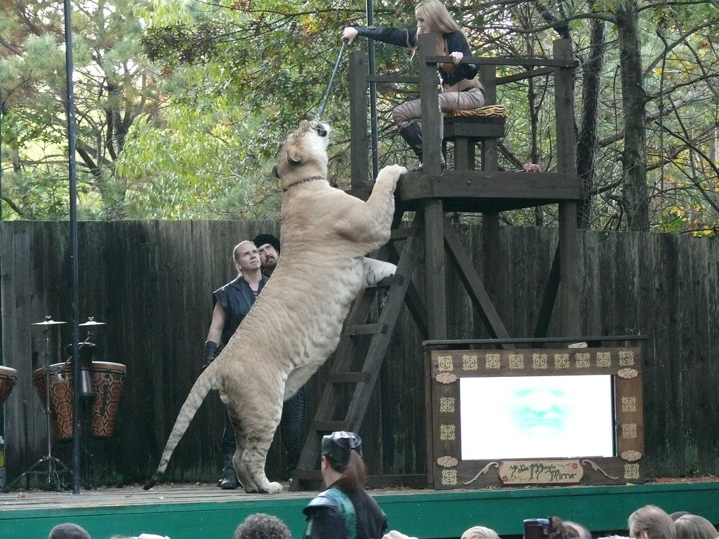 Como que animal te imaginas a los canuteros? - Página 22 1674581625_e45634a6b9_b