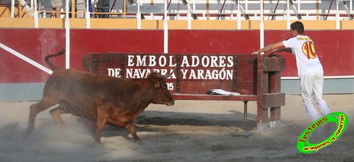 Villamayor (Zaragoza)   9-9-2009 Ganaderia Hnos Murillo (Tauste) 3920299060_f39523c3c5