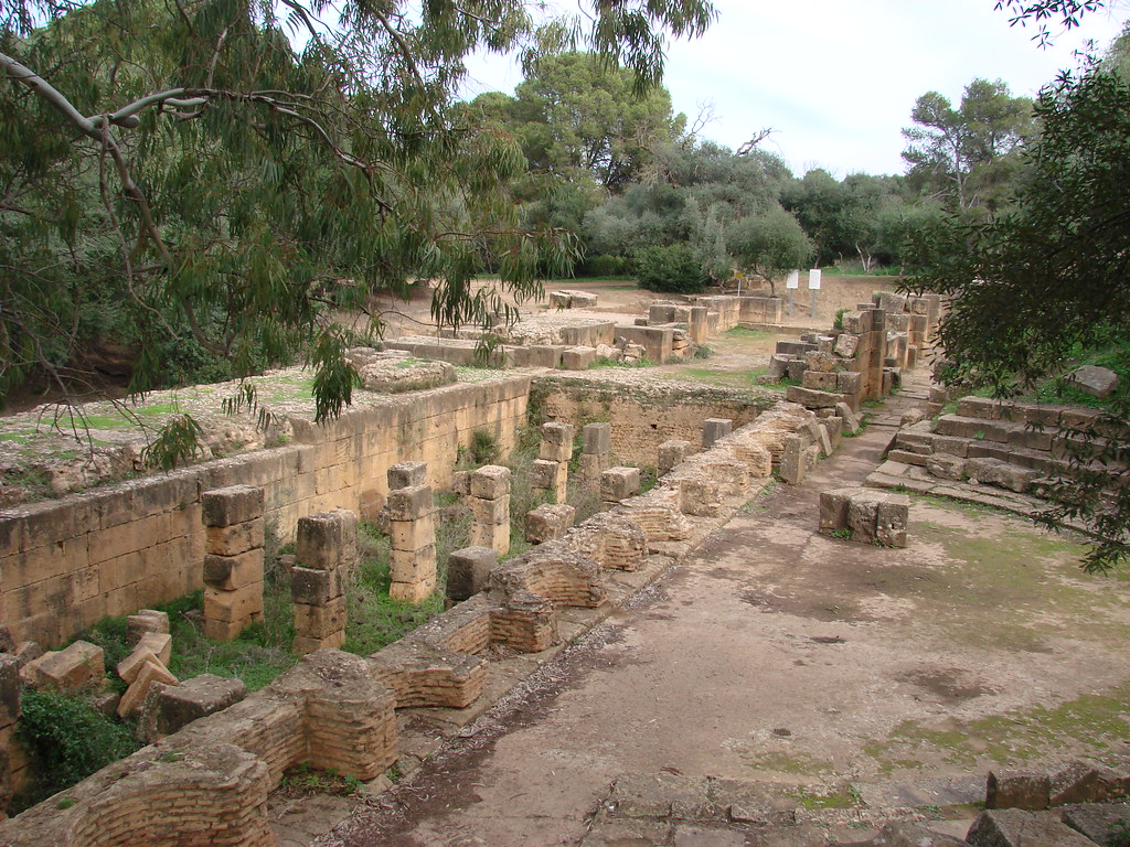 صور لا تراها الا في الجزائر 2080780304_d8f177b65e_b