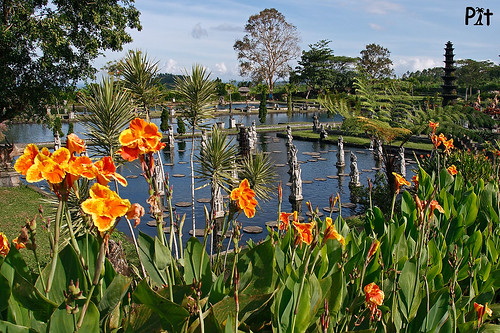 Aprés Chulichan .... Bali en Octobre .... 1575526963_a133b516ca