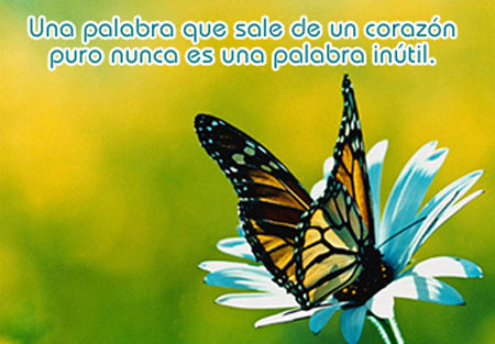 Pensamientos con Alma - Página 3 3531583184_11a0a1c0ec