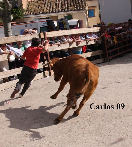 CABRETON (LA RIOJA) 16-5-09 GANADERIA SANTOS ZAPATERIA "CHUSMA" 3545268415_aab262f03b