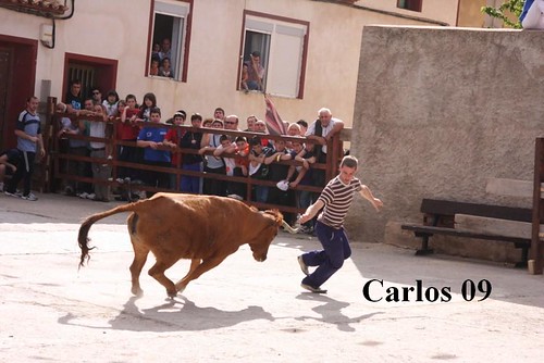 CABRETON (LA RIOJA) 16-5-09 GANADERIA SANTOS ZAPATERIA "CHUSMA" 3545269421_f8c318e540