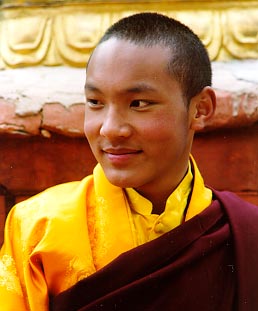 Préparation de la visite du 17ème Gyalwa Karmapa à Bruxelles en 2010 2411952571_2b2f7e53c9_o