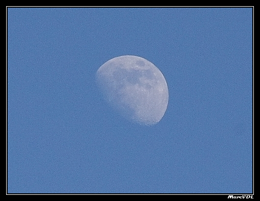 Lune Sur les arbres 2275721318_249b3e74a5_o