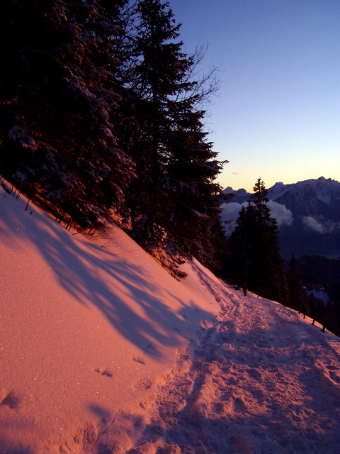 Les chevaux des montagnes au soleil couchant..... - Page 3 2450599451_6b80da7c3b_z