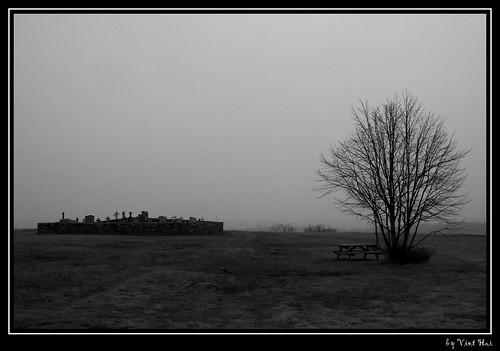 Cantal en brouillard 2157349721_b19aec5c4f