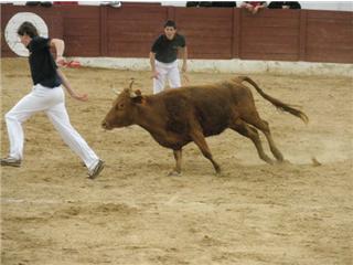 Concurso de Andorra 2421100442_a83227df4e_o