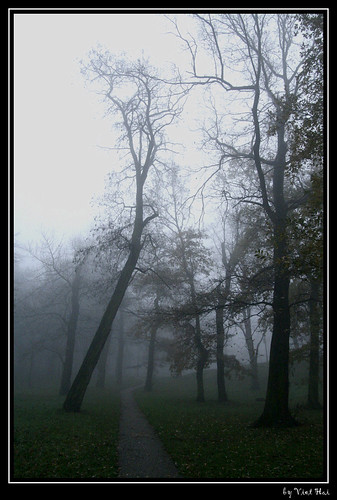 Brouillard..... 2064900191_ca233a6fdb