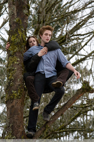 صور رومانسية لفيلم TWILIGHT 3641494784_934046544f