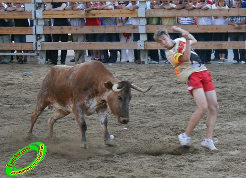 Ribaforada (Navarra)  25-08-2009 ganaderia Santos Zapateria (Valtierra) 3861886173_64682464c4