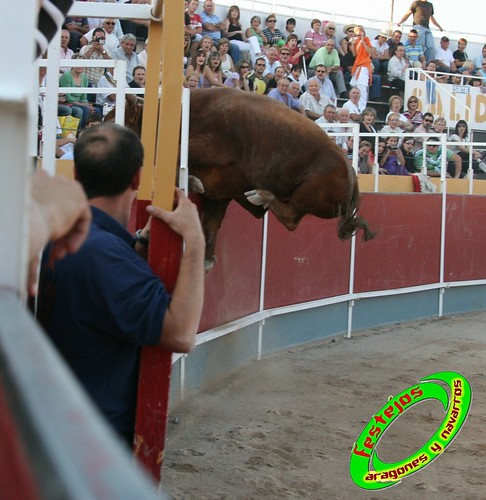 Borja (Zaragoza) desafio de ganaderias Murillo Conde (Tauste, Zaragoza) y Jose Arriazu e hijos (Ablitas, Navarra) 3965247523_9dd15dd82b