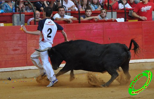 Concurso de recortadores con anillas de Zaragoza, ganaderias Hnos. Ozcoz (Fuentes de Ebro, Zaragoza) y D. Jesus Marcen (Villanueva de Gallego, Zaragoza) 4030993495_8ab0004ea0