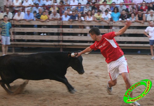 Mallen (Zaragoza) 10-09-2009 ganaderia Hnos. Vela (Mallen) 3923717872_7e2487230c