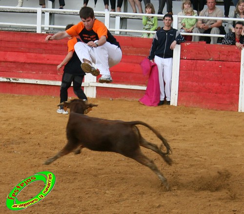 Rada (Navarra) Ganaderia "El Salobral" (Rada, Navarra) 17-05-2009 3551510671_1c442f9ec3