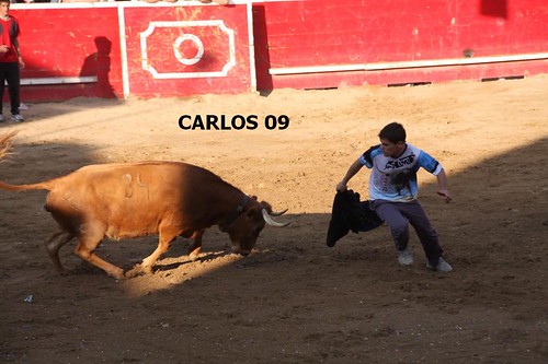 CORTES (NAVARRA) 27-09-09 GANADERIA USTARROZ de ARGUEDAS 3966108706_85fe6860b5