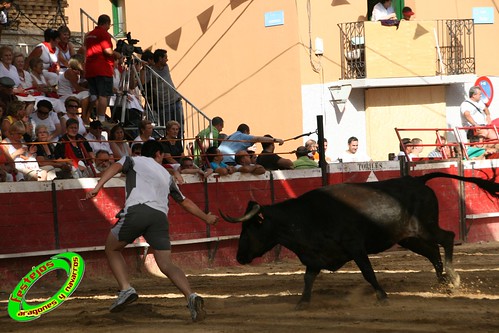 Cadreita (Navarra) 22-07-2009 Ganaderia el "Pincha" Lodosa (Navarra) 3761136833_78c3dc4721