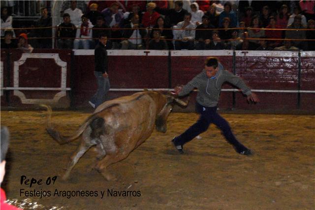 Cadreita (Navarra) 18-07-2009 noche Ganaderia de Enrique Dominguez (Funes, Navarra) 3742308964_aae8f5742a_o