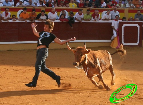 Tudela (Navarra) 26-07-2009 Ganaderia Ustarroz (Arguerdas, Navarra) 3766365252_042e2a7ba3