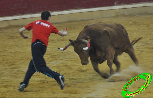 Zaragoza, jueves 15 de Octubre ganaderia  Jose Arriazu e Hijos (Ablitas, Navarra) 4031811309_ebf6daccba